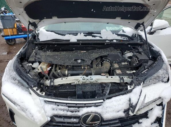 JTJGARDZ0M5024751 2021 LEXUS NX Белый Вид подкапотного пространства
