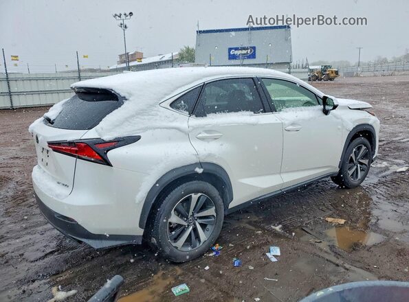 JTJGARDZ0M5024751 2021 LEXUS NX Белый Задняя правая четверть