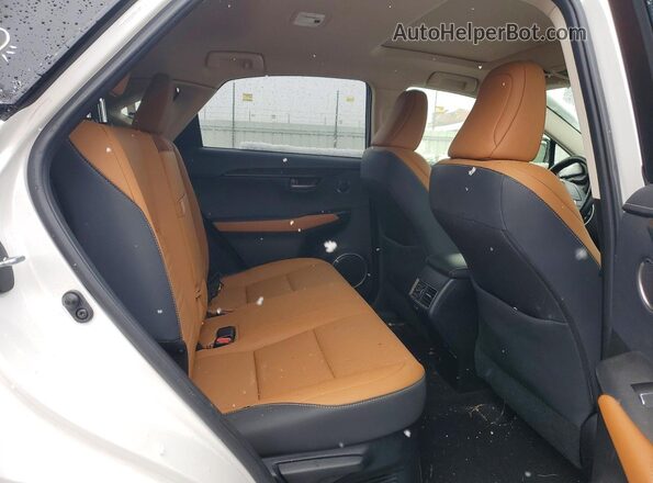 JTJGARDZ0M5024751 2021 LEXUS NX Белый Вид задней части салона