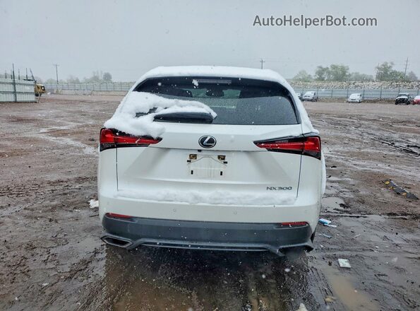JTJGARDZ0M5024751 2021 LEXUS NX Белый Вид сзади