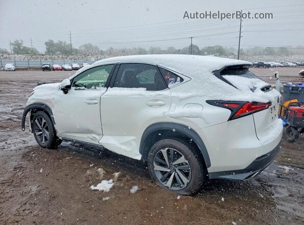 JTJGARDZ0M5024751 2021 LEXUS NX Белый Задняя левая четверть