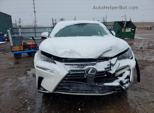 JTJGARDZ0M5024751 2021 LEXUS NX Белый Вид спереди