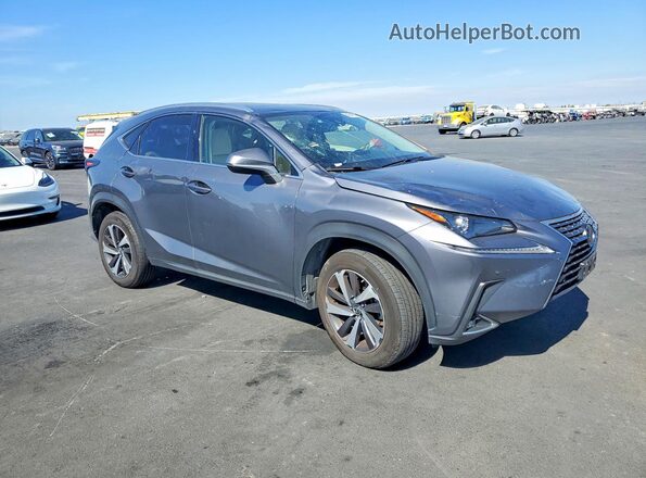 JTJGARDZ2M2259332 2021 LEXUS NX Gray Առջևի աջ