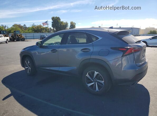 JTJGARDZ2M2259332 2021 LEXUS NX Gray Հետևի ձախ