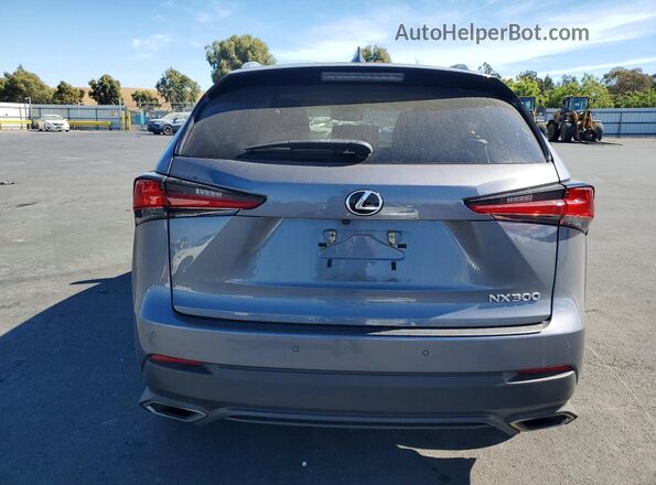 JTJGARDZ2M2259332 2021 LEXUS NX Gray Հետևի տեսք