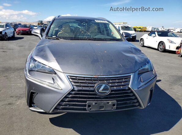 JTJGARDZ2M2259332 2021 LEXUS NX Gray Դիմացի տեսք