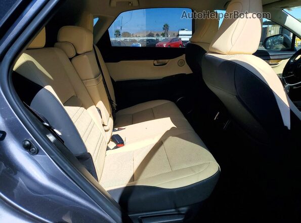 JTJGARDZ2M2259332 2021 LEXUS NX Gray Սալոնի հետևի տեսք