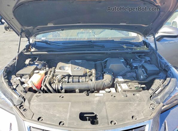 JTJGARDZ2M2259332 2021 LEXUS NX Gray Շարժիչի բաժամունքի տեսք