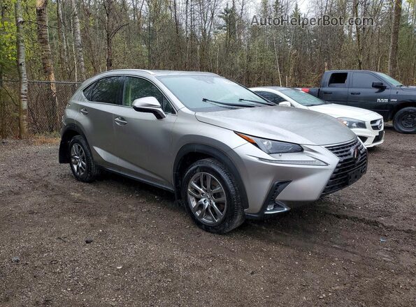 JTJGARDZ3L2220974 2020 LEXUS NX Серебряный Передняя правая четверть
