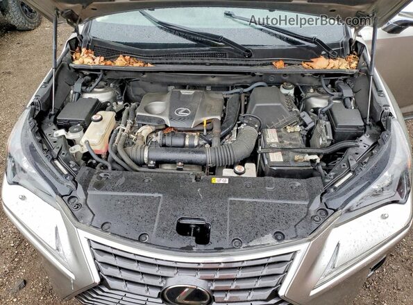 JTJGARDZ3L2220974 2020 LEXUS NX Серебряный Вид подкапотного пространства