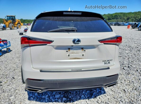 JTJGARDZ3L2232235 2020 LEXUS NX White Rear view