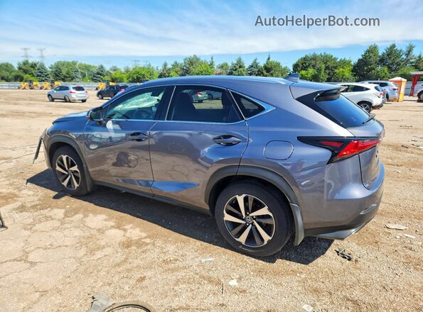 JTJGARDZ3M2246878 2021 LEXUS NX Gray Rear left