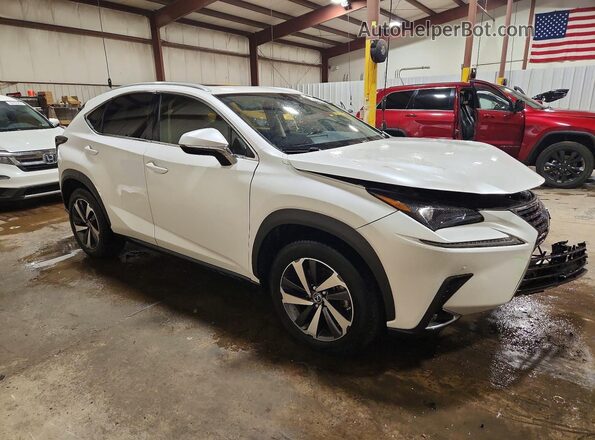 JTJGARDZ4M5019245 2021 LEXUS NX White წინა მარჯვენა