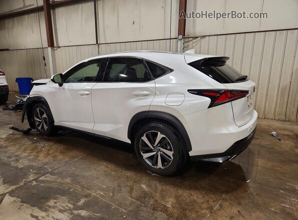 JTJGARDZ4M5019245 2021 LEXUS NX White უკანა მარცხენა