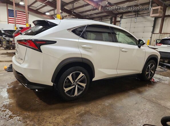 JTJGARDZ4M5019245 2021 LEXUS NX White უკანა მარჯვენა