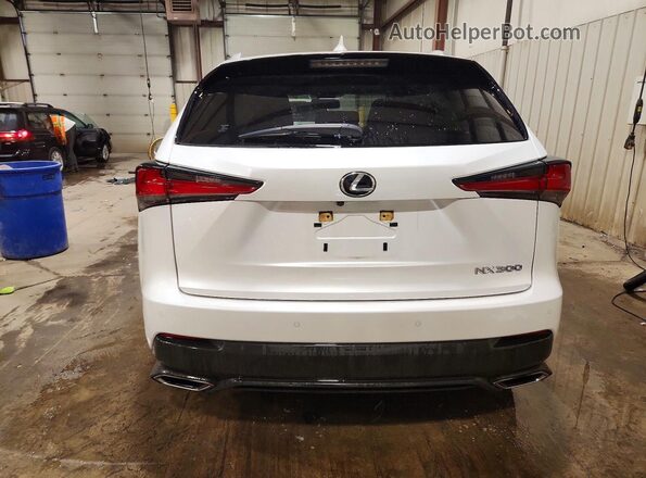 JTJGARDZ4M5019245 2021 LEXUS NX White უკანა ხედი