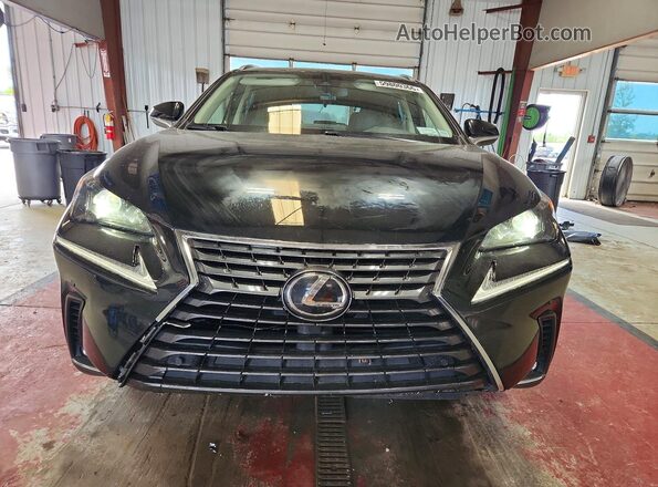 JTJGARDZ4M5031914 2021 LEXUS NX Black Դիմացի տեսք