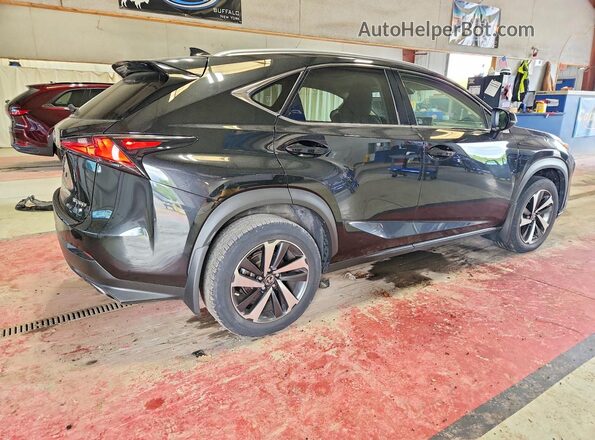 JTJGARDZ4M5031914 2021 LEXUS NX Black Հետևի աջ