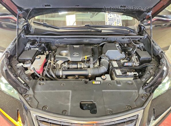 JTJGARDZ4M5031914 2021 LEXUS NX Black Շարժիչի բաժամունքի տեսք