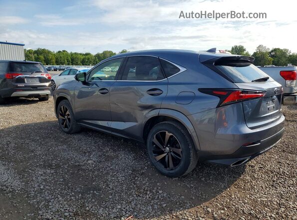 JTJGARDZ5L2229272 2020 LEXUS NX Gray Հետևի ձախ