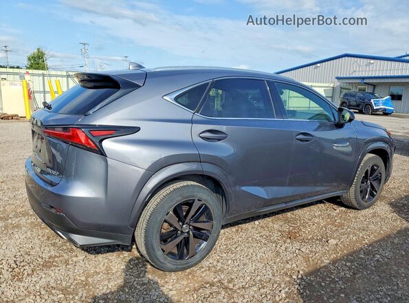 JTJGARDZ5L2229272 2020 LEXUS NX Gray Հետևի աջ