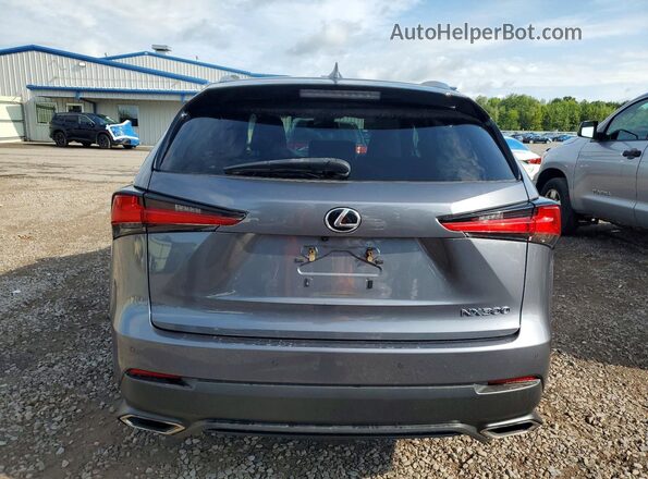 JTJGARDZ5L2229272 2020 LEXUS NX Gray Հետևի տեսք