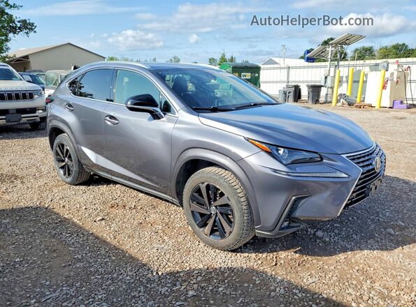 JTJGARDZ5L2229272 2020 LEXUS NX Gray Առջևի աջ
