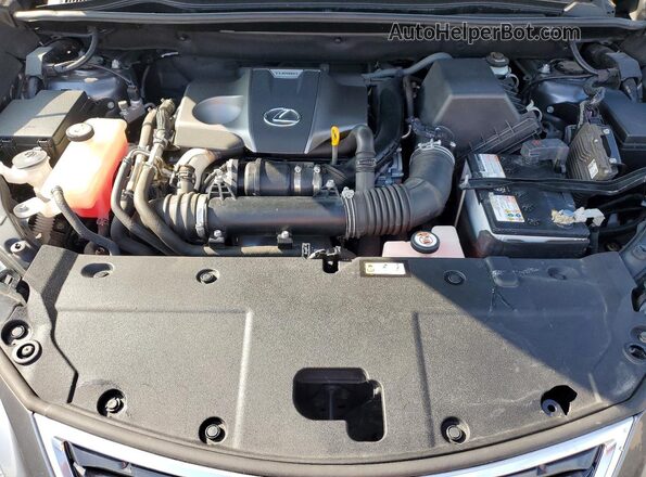 JTJGARDZ5L2229272 2020 LEXUS NX Gray Շարժիչի բաժամունքի տեսք