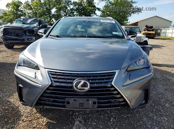 JTJGARDZ5L2229272 2020 LEXUS NX Gray Դիմացի տեսք