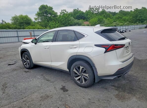 JTJGARDZ6L5017978 2020 LEXUS NX White Հետևի ձախ