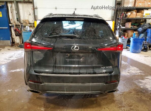 JTJGARDZ8L2232747 2020 LEXUS NX300 Black Вид ззаду