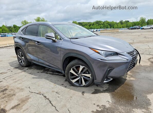 JTJGARDZ9L2221708 2020 LEXUS NX Gray Front right
