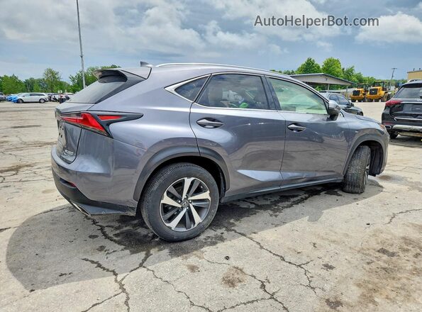 JTJGARDZ9L2221708 2020 LEXUS NX Gray Rear right