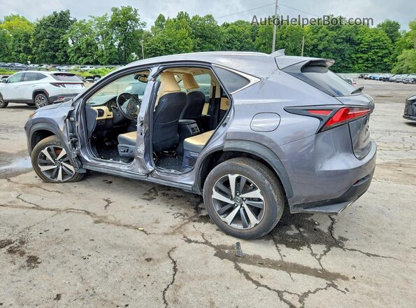 JTJGARDZ9L2221708 2020 LEXUS NX Gray Rear left