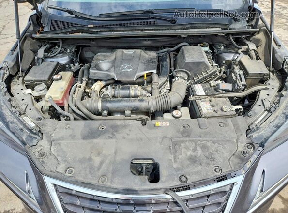 JTJGARDZ9L2221708 2020 LEXUS NX Gray Engine compartment view