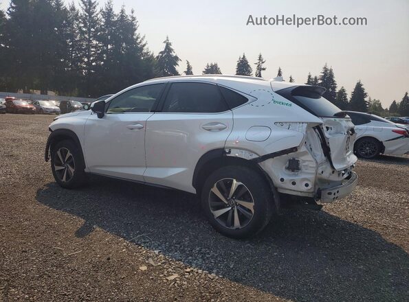 JTJGARDZ9L5011446 2020 LEXUS NX White Tył lewy