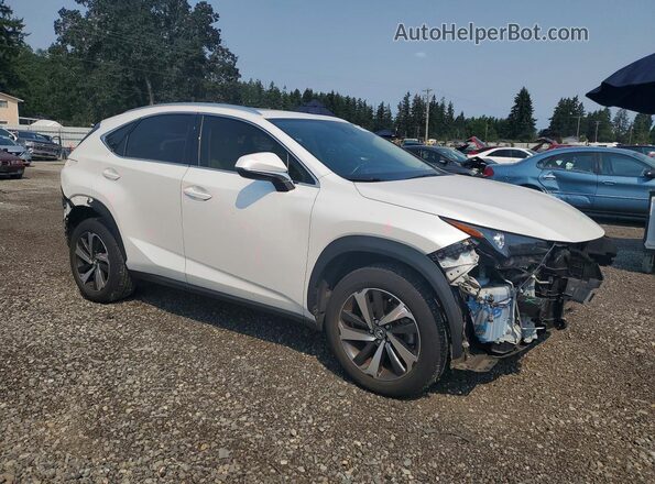 JTJGARDZ9L5011446 2020 LEXUS NX White Przód prawy