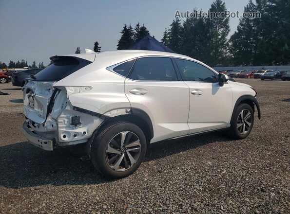 JTJGARDZ9L5011446 2020 LEXUS NX White Tył prawy