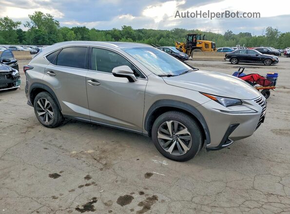 JTJGARDZXL2234080 2020 LEXUS NX Gray Front right