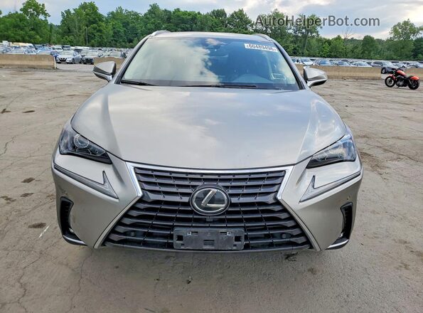 JTJGARDZXL2234080 2020 LEXUS NX Gray Front view