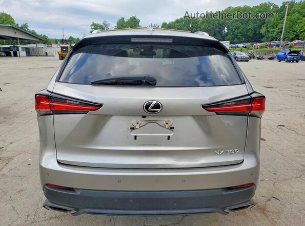 JTJGARDZXL2234080 2020 LEXUS NX Gray Rear view