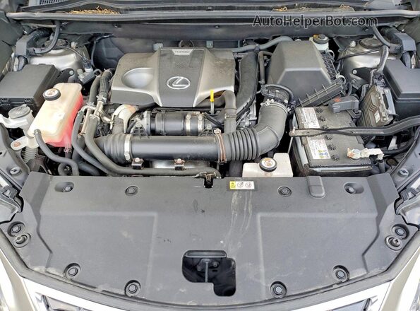 JTJGARDZXL2234080 2020 LEXUS NX Gray Engine compartment view