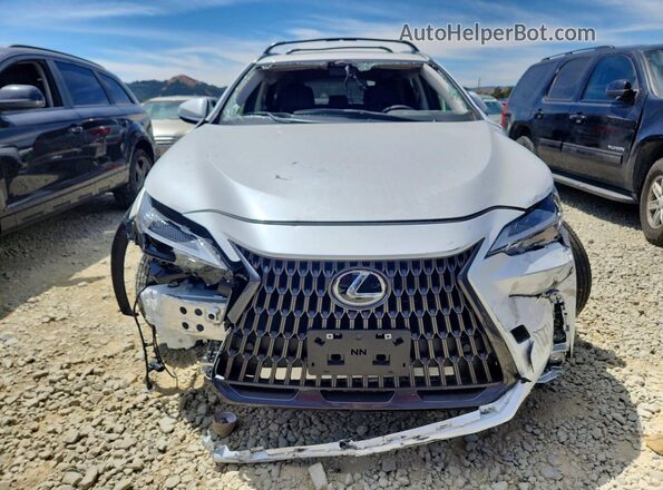 JTJGDCAZ8S5023482 2025 LEXUS NX White Вид спереду