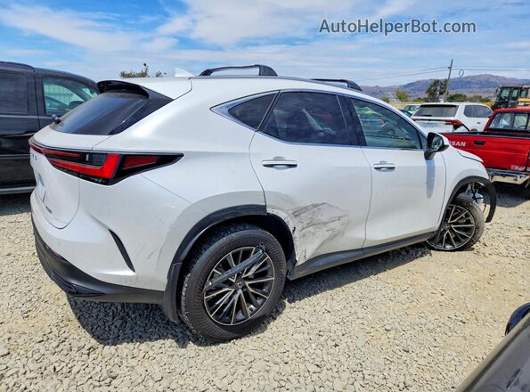 JTJGDCAZ8S5023482 2025 LEXUS NX White Задня права чверть