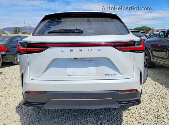 JTJGDCAZ8S5023482 2025 LEXUS NX White Вид ззаду