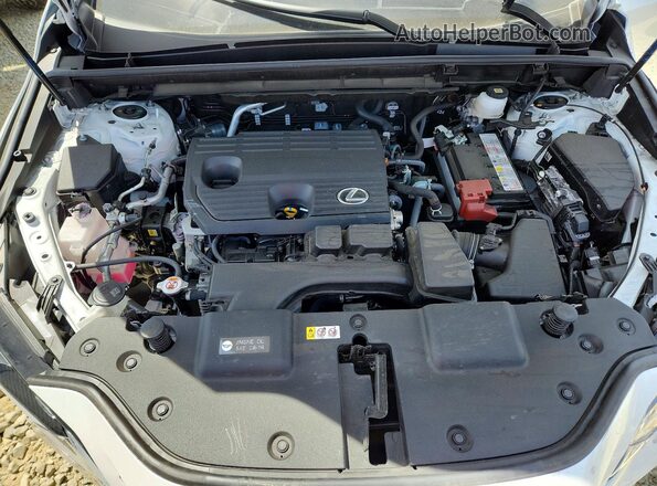 JTJGDCAZ8S5023482 2025 LEXUS NX White Вид підкапотного простору