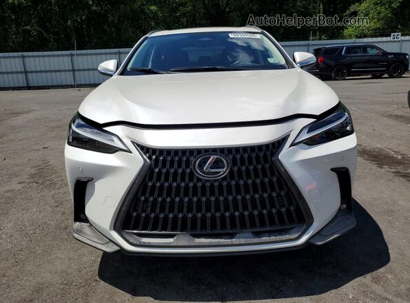 JTJGGCEZ0R5005876 2024 LEXUS NX White Widok z przodu