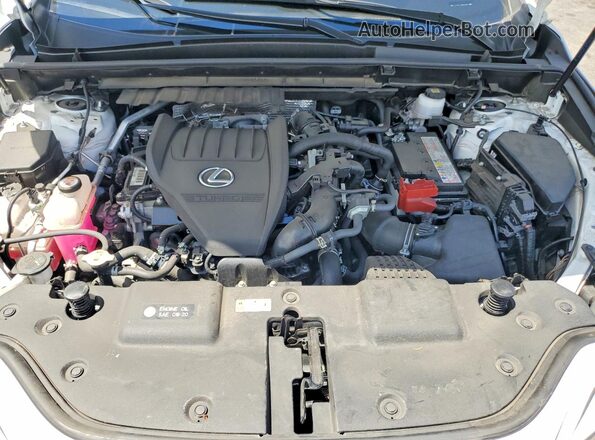 JTJGGCEZ0R5005876 2024 LEXUS NX White Widok komory silnika
