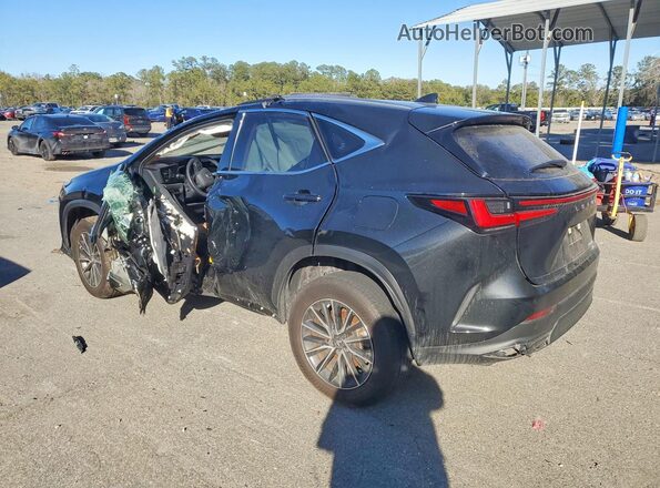 JTJGGCEZ3R5005841 2024 LEXUS NX Black Trasero izquierdo