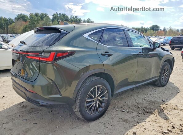 JTJGGCEZ4R2010452 2024 LEXUS NX Зеленый Задняя правая четверть